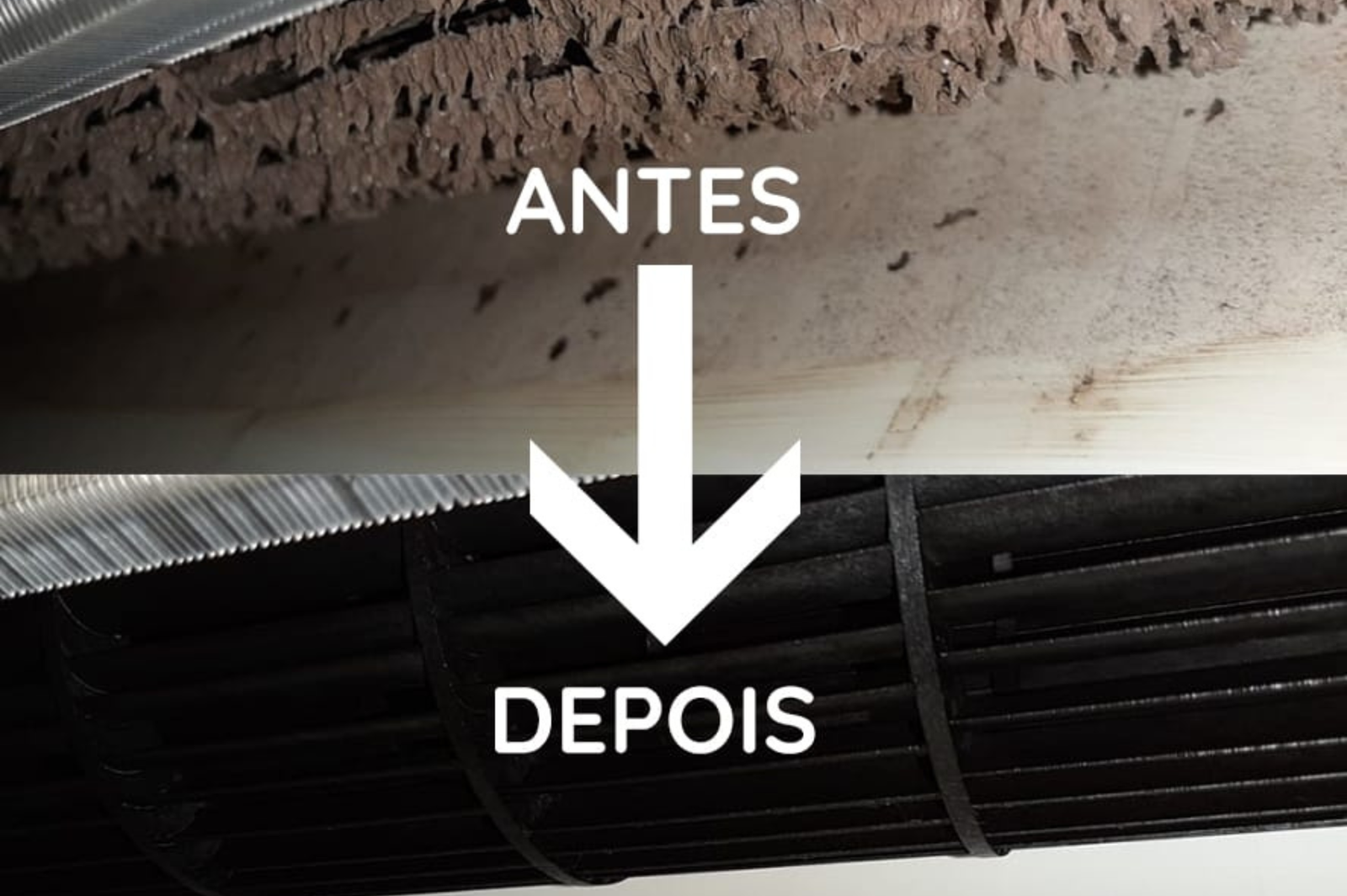 Design sem nome (25)